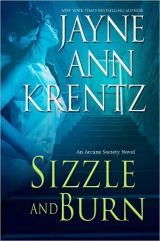 bookcover image of Sizzle and Burn